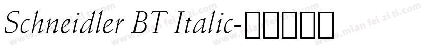 Schneidler BT Italic字体转换